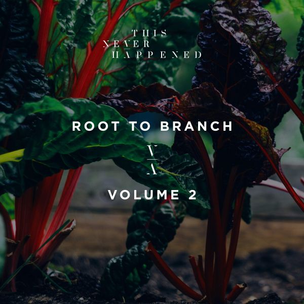 Archivo:Various Artists - 2018 - Root To Branch (Volume 2).jpg