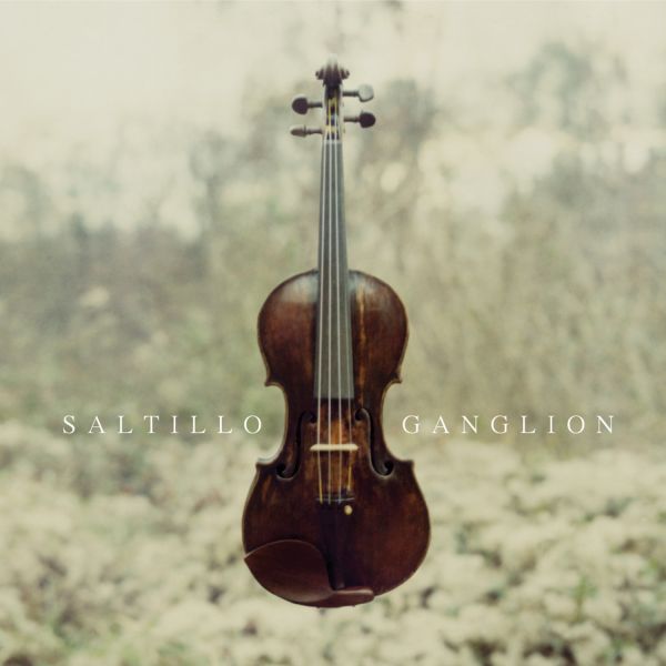 Archivo:Saltillo - 2006 - Ganglion.jpg